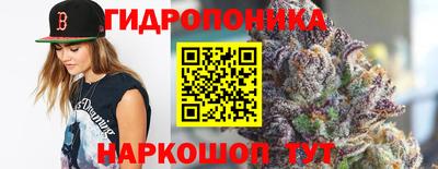 прущие крисы Краснодар