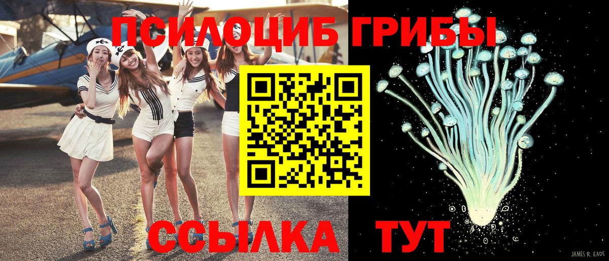 Псилоцибиновые грибы Cubensis Клин