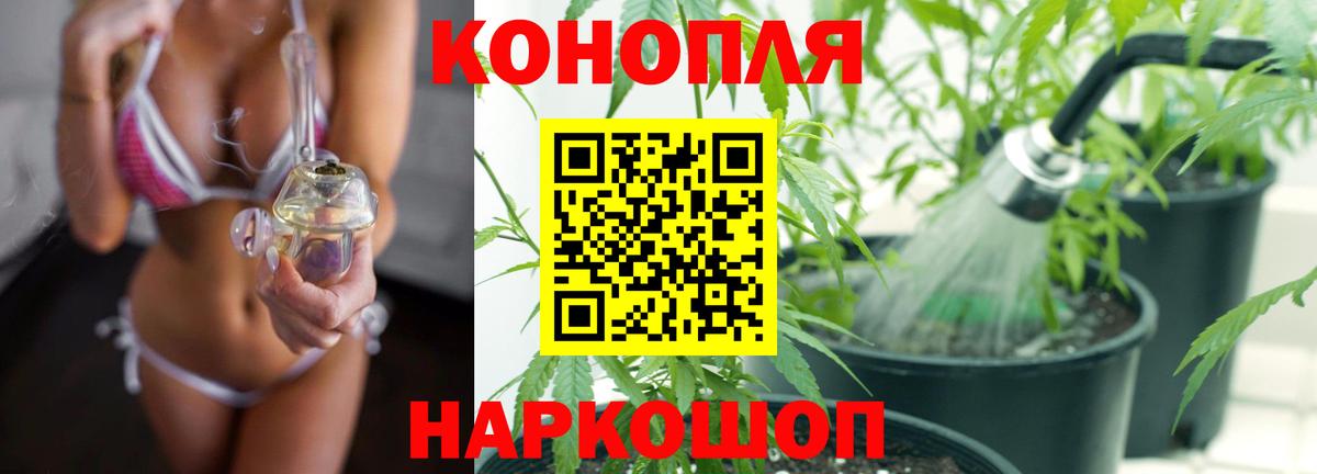 Бошки марихуана сатива Клин